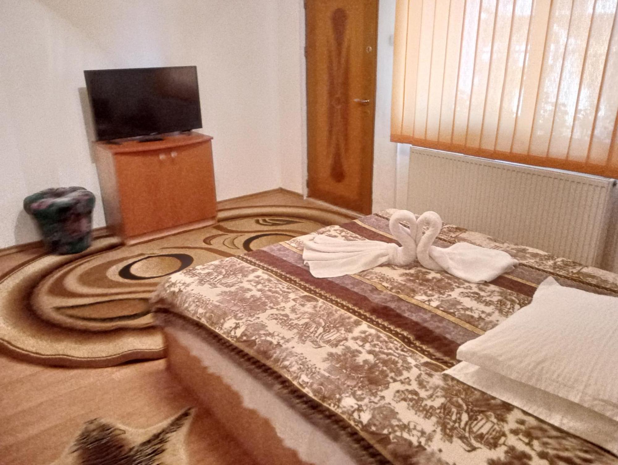 Pensiunea Irina 1 Si 2 Zarnesti Luaran gambar
