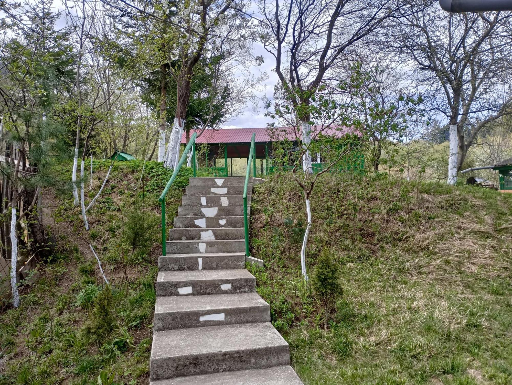 Pensiunea Irina 1 Si 2 Zarnesti Luaran gambar