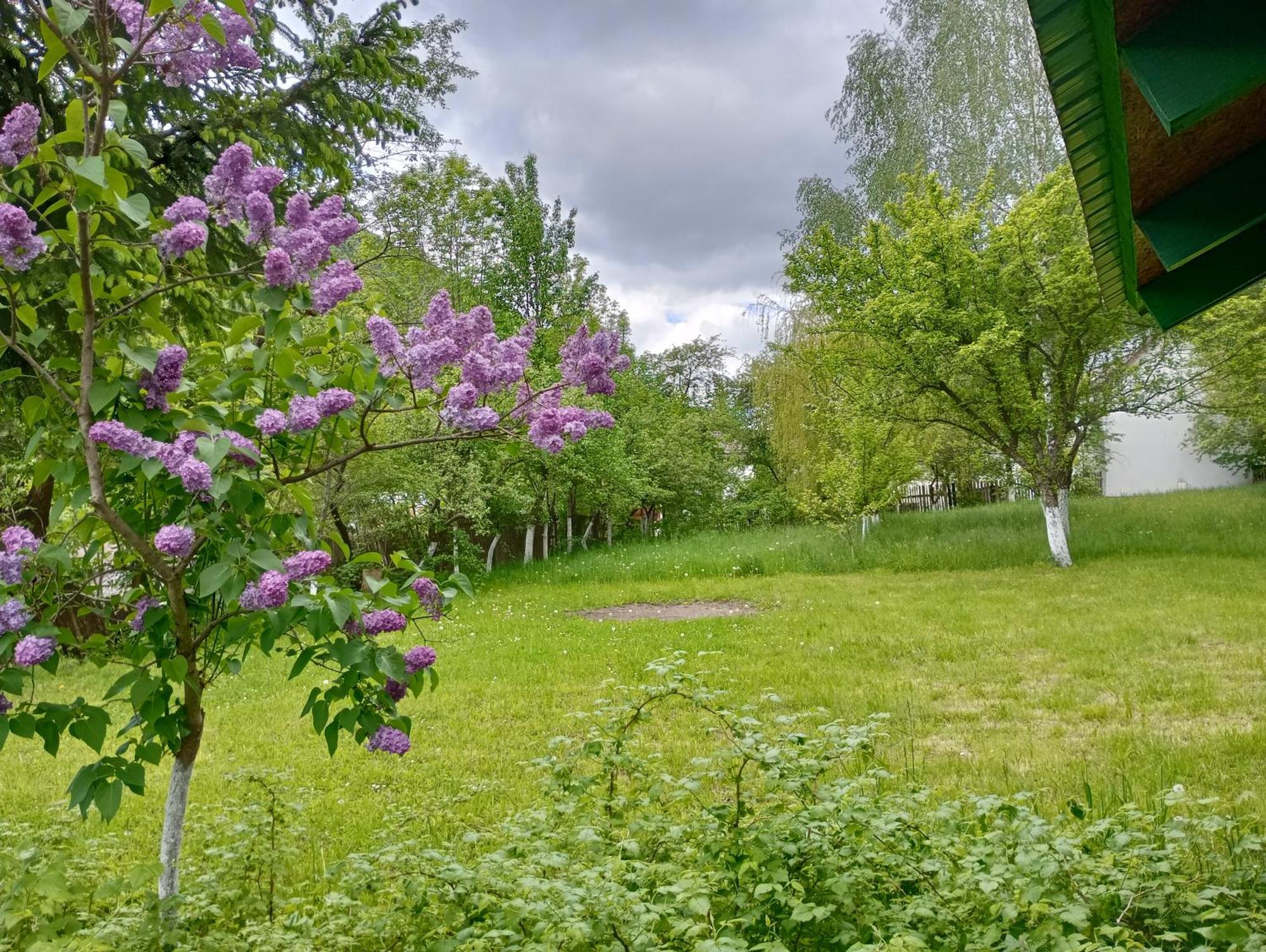 Pensiunea Irina 1 Si 2 Zarnesti Luaran gambar