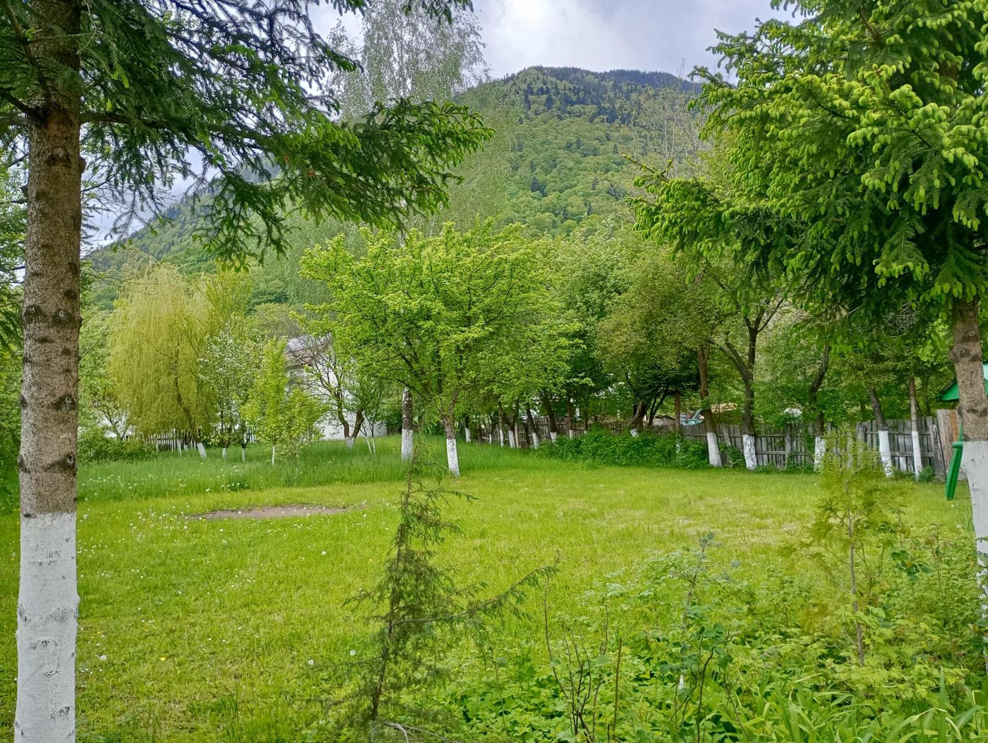 Pensiunea Irina 1 Si 2 Zarnesti Luaran gambar